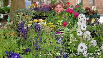 Stadtnatur in Braunschweigs heißer City hat alles für die Sinne