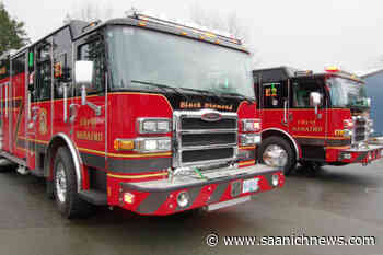 Cat dies in apartment fire in central Nanaimo – Saanich News - Saanich News