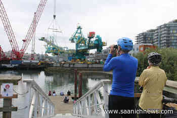 Celebrate dad this weekend at family-friendly events across Greater Victoria – Saanich News - Saanich News