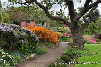 Victoria's Abkhazi Garden hosting Ukraine fundraiser concert June 18 – Saanich News - Saanich News