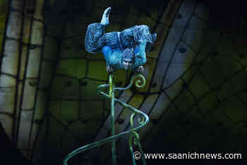 VIDEO: Cirque du Soleil wows Victoria audience with Ovo - Saanich News