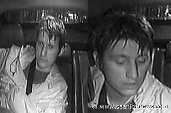 Man sought after Saanich bear spray incident - Saanich News