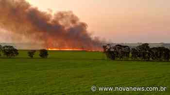 Fogo atinge canavial à margem da MS-134, entre Nova Andradina e - Nova News