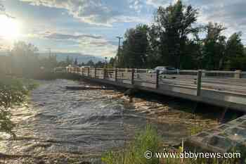 Creek still too high to search for missing Kelowna woman – Abbotsford News - Abbotsford News