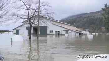 Abbotsford backs billion-dollar flood prevention plan - Global News
