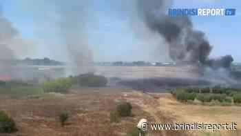 Vasto incendio nelle campagne: le colonne di fumo visibili dalla città - BrindisiReport