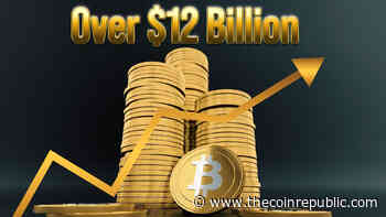 The Indian Bitcoin Scandal - The Coin Republic