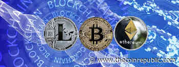 Martin Shkreli wants to swap equities for cryptocurrency - The Coin Republic