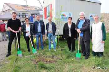 VillaVip Pittem plant officieel de meiboom - KW.be - KW.be
