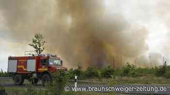 Mehrere Waldbrände in Brandenburg: Flammen nun eingedämmt