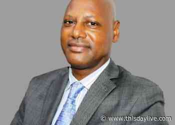 Aviation Sector to Grow 7%in 10 Years - THISDAY Newspapers