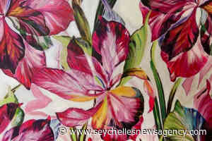 A painter at heart: Former Belgian model in Seychelles returns to childhood passion - Seychelles News Agency