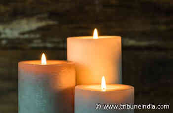 Painter-author Ravi Paranjape dies at 86 in Pune - The Tribune India