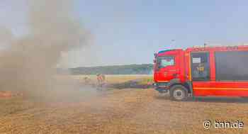 Hitze-Samstag: Abgeerntetes Getreidefeld bei Malsch brennt - BNN - Badische Neueste Nachrichten