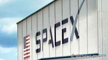 SpaceX reported to fire employees critical of CEO Elon Musk