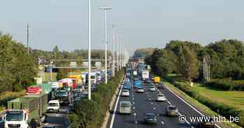 Ongevallen op E313 richting Antwerpen in Ranst: file vanaf Massenhoven - Het Laatste Nieuws