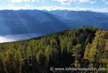 Lower Kootenay Band demands halt to Argenta-Johnsons Landing logging – Kimberley Daily Bulletin - Kimberley Bulletin