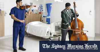 ‘Not like an essay for school’: Sydney teen published in prestigious medical journal - Sydney Morning Herald