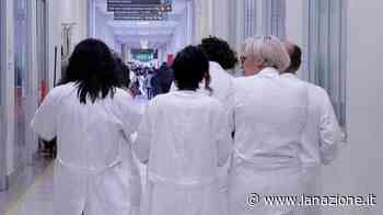 Tumore al pancreas, la cura del futuro si cerca a Pisa - LA NAZIONE