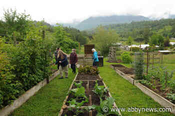 PHOTOS: Farm animals, stunning scenery and more during Ryder Lake Ramble in Chilliwack