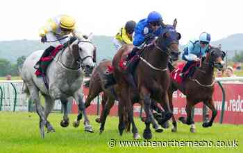 Allan stars on fruitful day for Malton at Redcar - The Northern Echo