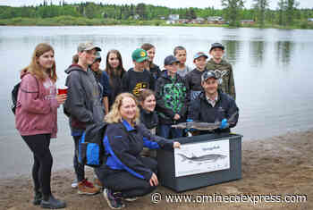 PHOTOS: Students release chinook salmon and Nechako sturgeon during annual event – Vanderhoof Omineca Express - Omineca Express