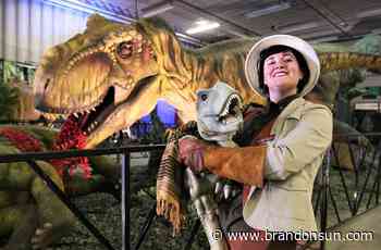 Dinosaurs taking over Keystone Centre - The Brandon Sun