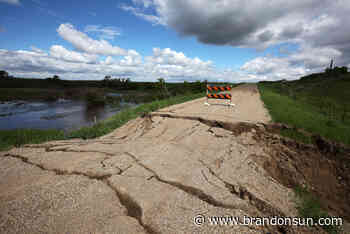 Wet weather poised to wash away optimism - The Brandon Sun