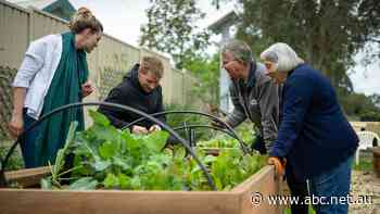 Community gardens offer free produce — and a chance to learn new skills — as rising costs bite