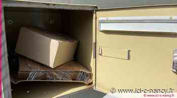 Val de Briey : vol de colis dans une boîte aux lettres, le livreur placé en garde à vue - Ici-c-nancy.fr