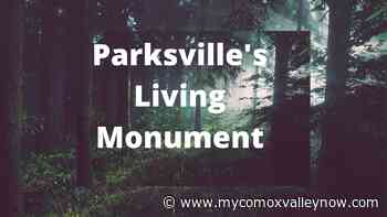 Parksville Ready To Unveil A Living Monument - My Comox Valley Now
