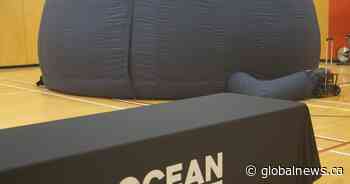 Ocean Wise brings the sea to Saskatoon students - Global News