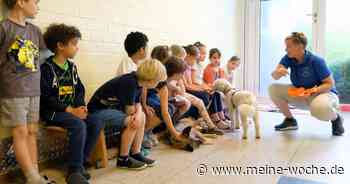 Kita-Kinder aus Korschenbroich machten den Hunde-Führerschein - Meine Woche