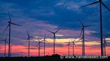 Nachhaltige Investments: Anleger ziehen Geld aus nachhaltigen Fonds ab