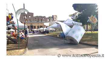 Studenti del Marchi protagonisti tra la Carta. Chi sono - Il Cittadino Pescia