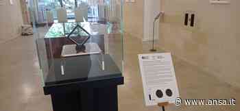 A Matera il denario d'argento della rivolta dei popoli italici - Agenzia ANSA