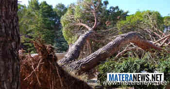 Matera, danni da maltempo in provincia: chiusa questa Villa! I dettagli - Matera News