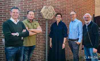 Izegem plaatst eerste bijenhotel gevuld door verenigingen - KW.be - KW.be