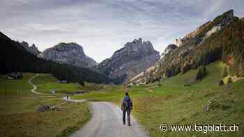 Alpstein: Sicherheit beim Wandern – Schweizer Alpen-Club erklärt - St.Galler Tagblatt