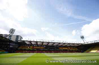Chairman praises 'incredible skill' of Watford groundstaff