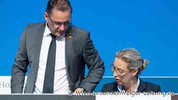 AfD streicht Gewerkschaft Zentrum von Unvereinbarkeitsliste
