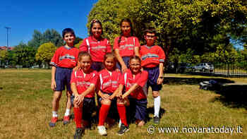 Baseball a 5: al Porta Mortara Novara il trofeo Coni Piemonte - NovaraToday