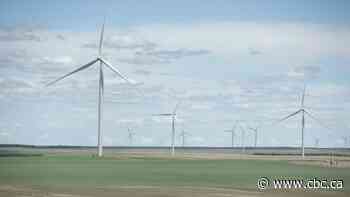 Sask.'s largest wind farm opens near Assiniboia - CBC.ca