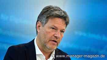 Robert Habeck: Das sind die Pläne zur Senkung des Gasverbrauchs in Deutschland