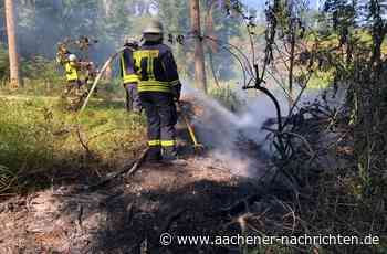 Feuergefahr: Erste Waldbrände in Roetgen im Keim erstickt - Aachener Nachrichten