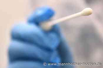 Rauswurf nach gefälschtem Coronatest-Zertifikat: Fälle am Mannheimer Arbeitsgericht - Mannheim - Nachrichten und Informationen - Mannheimer Morgen