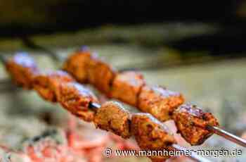 Stadt Mannheim hinkt in Sachen Grillrauch den eigenen Ansprüchen hinterher - Mannheim - Nachrichten und Informationen - Mannheimer Morgen