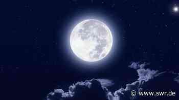 Nacht der offenen Tür - Mannheim - SWR