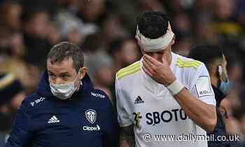 Campaigners including Shearer and Sutton urge IFAB to introduce temporary concussion substitutes - Daily Mail