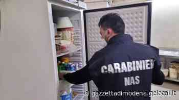 Modena, controlli dei carabinieri dei Nas: carenze igienico sanitarie in due locali, scattano le multe - La Gazzetta di Modena